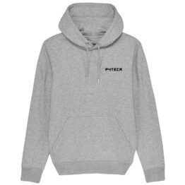 FELPA CAPPUCCIO - PYTECA LOGO heather-grey